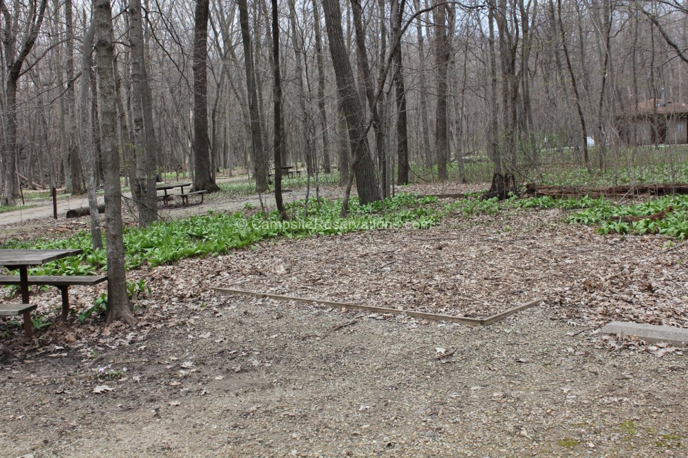 Campsite 12 in Rice Lake State Park Campground A Loop at Rice Lake